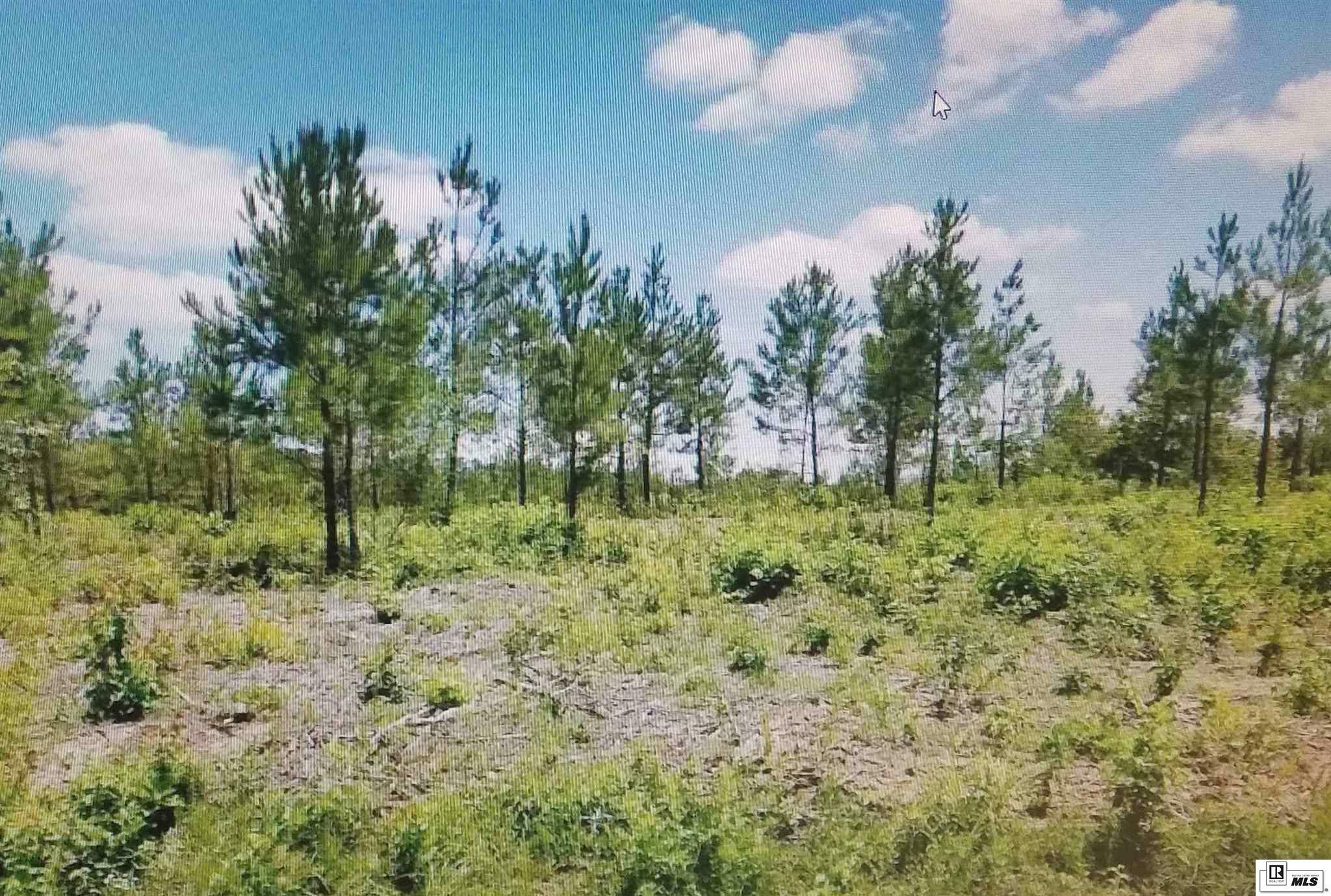 Property Photo:  Tract 2 Highway 139  LA 71203 