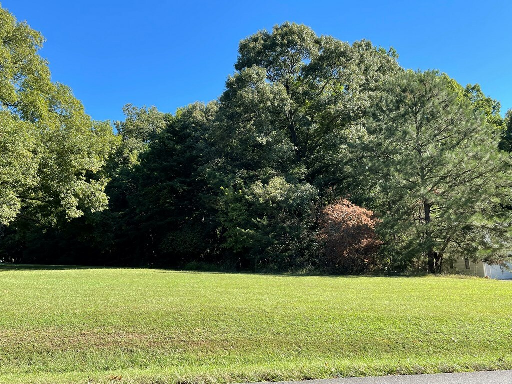 Property Photo:  Lot 18 Merifield Drive  VA 24927 