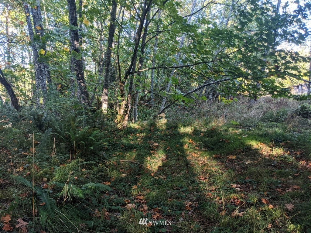 Property Photo: 9999 Fors Road Lot 5 WA 98362