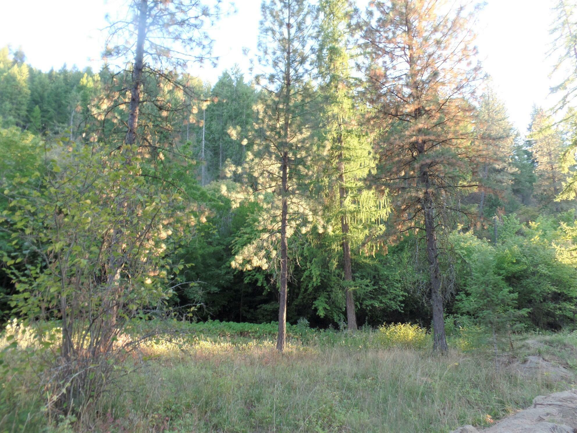 Property Photo:  1008 /1010 N Hwy 25  WA 99151 