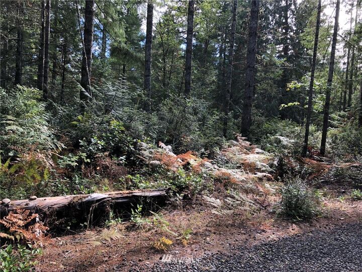 Property Photo:  0  East Appaloosa Road  WA 98584 