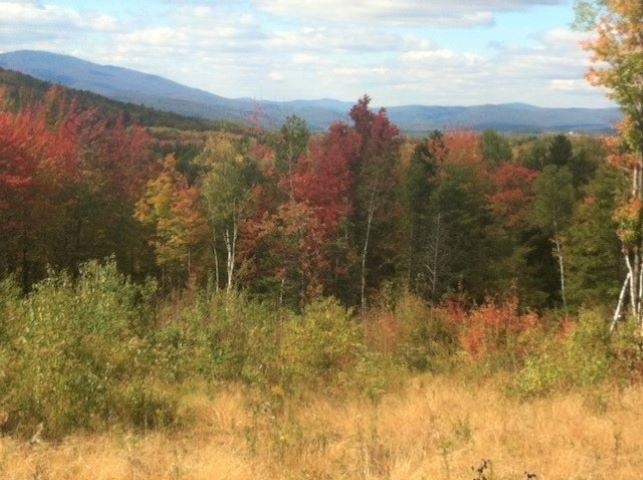 Property Photo: 0 Overlook Hill Road Lot 1 VT 05657