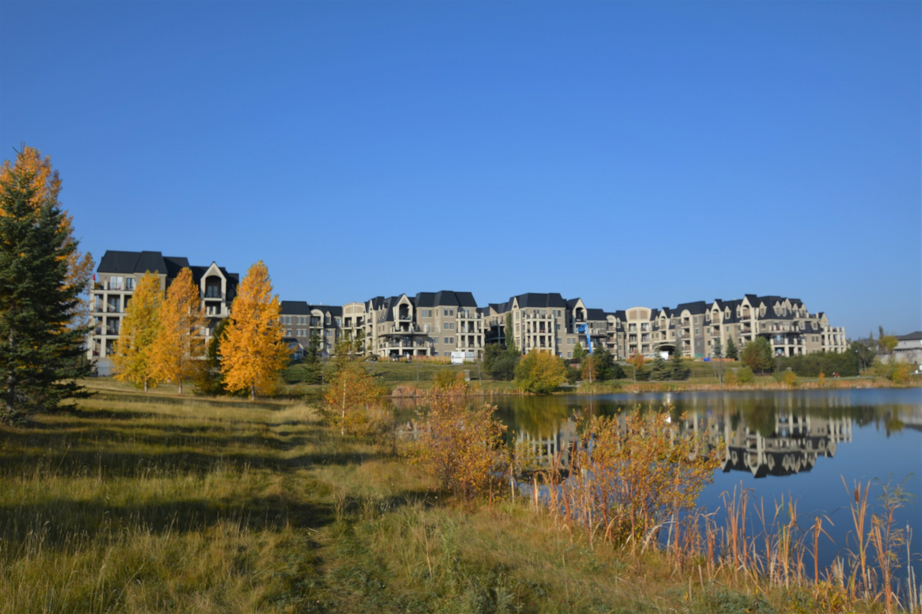 Property Photo: 6079 Maynard Way 429 AB T6R 0S4