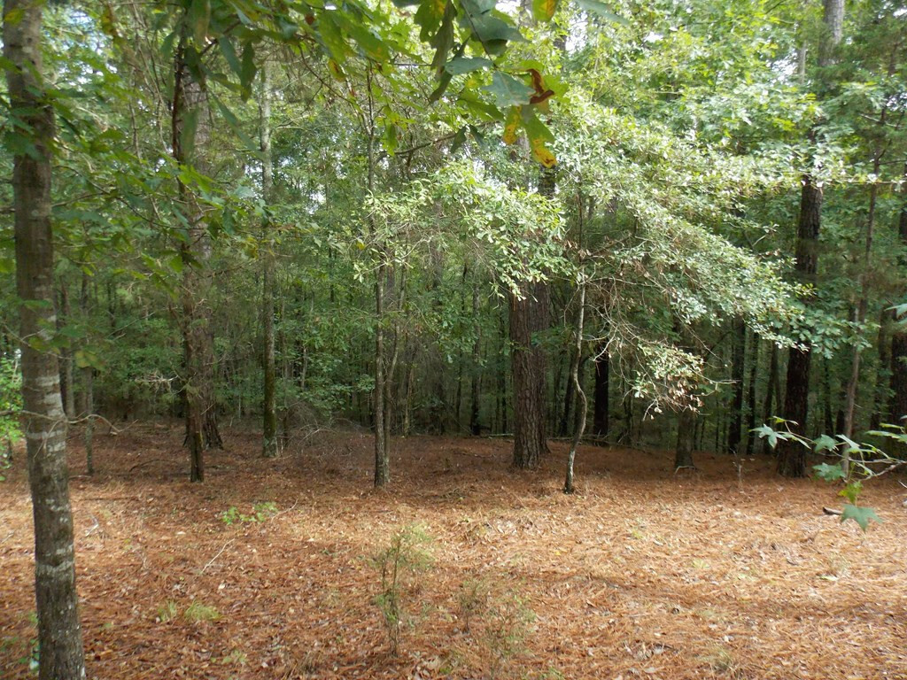 Property Photo:  13 Riverview Court  GA 30817 