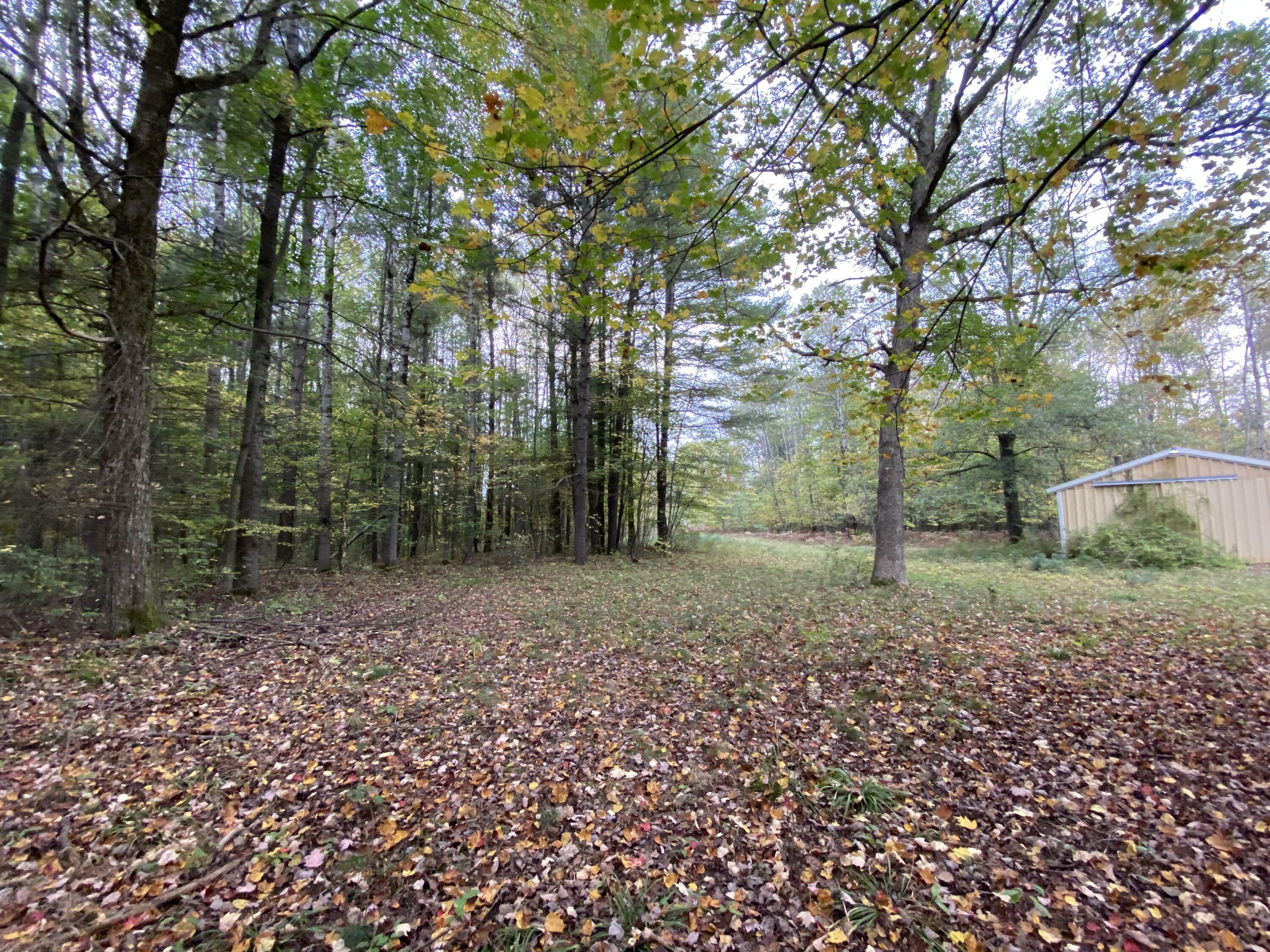 Property Photo:  3306 E Monroe Road  MI 49349 