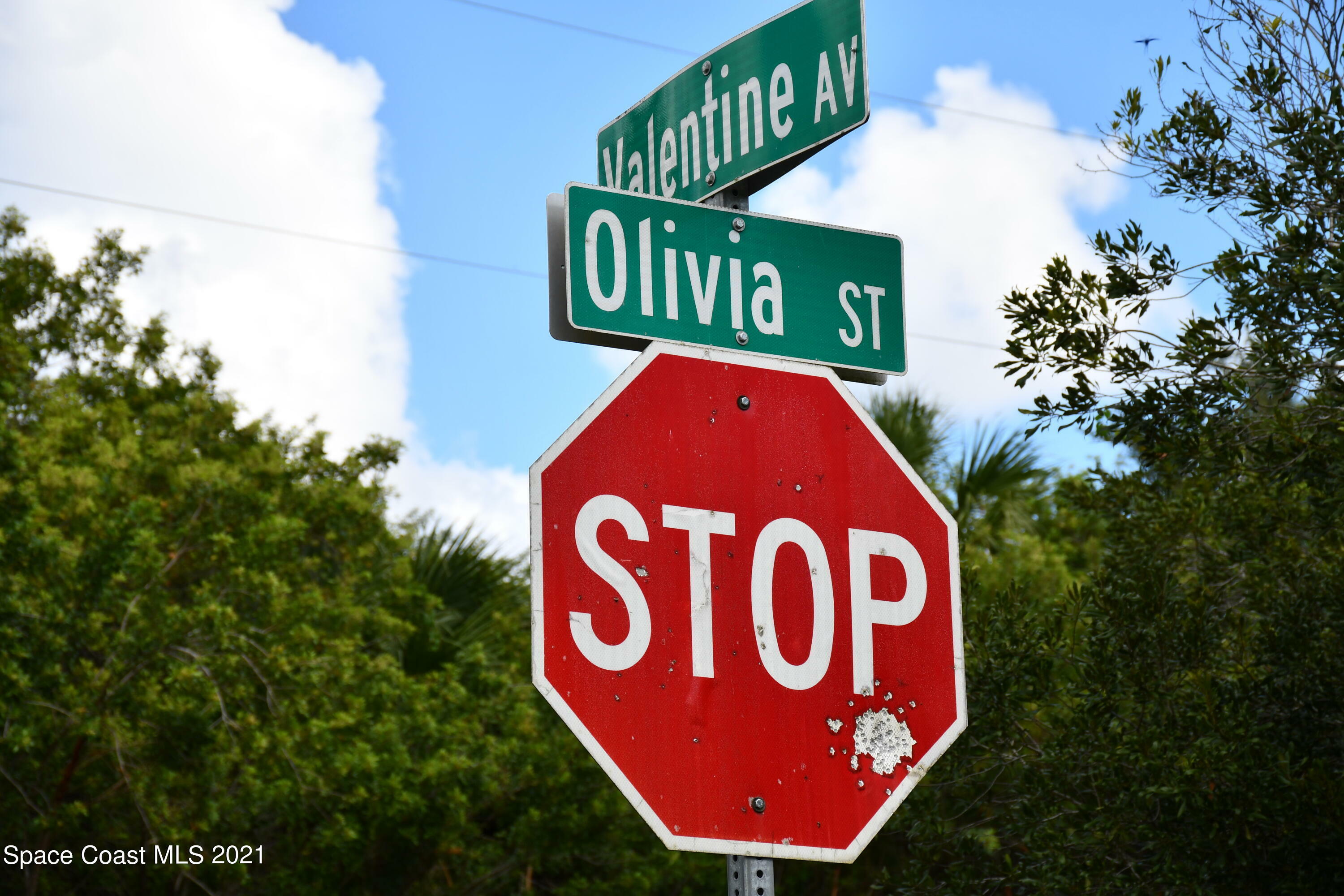 Property Photo:  615 Olivia Street SW  FL 32908 