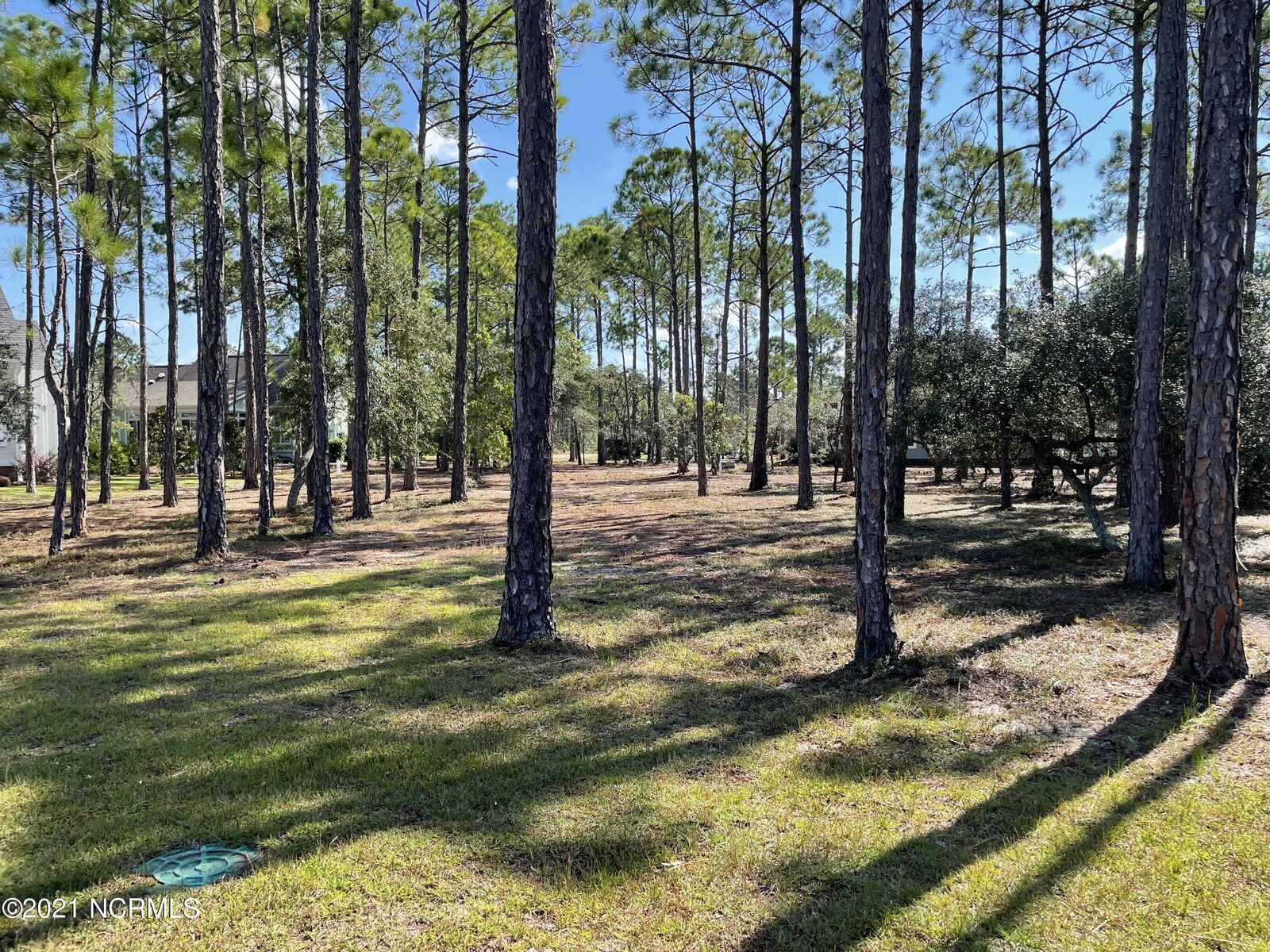 Property Photo:  3532 Lacebark Court  NC 28461 