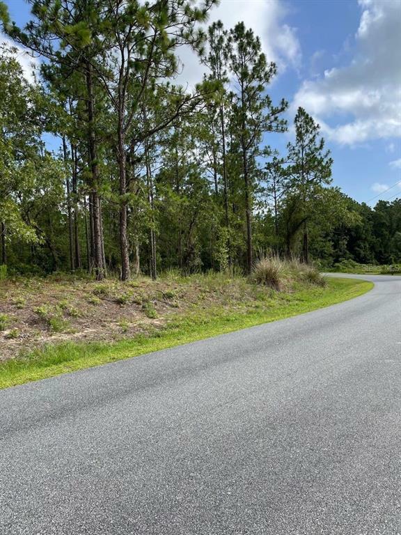 Property Photo: SW 115th Terrace FL 34481