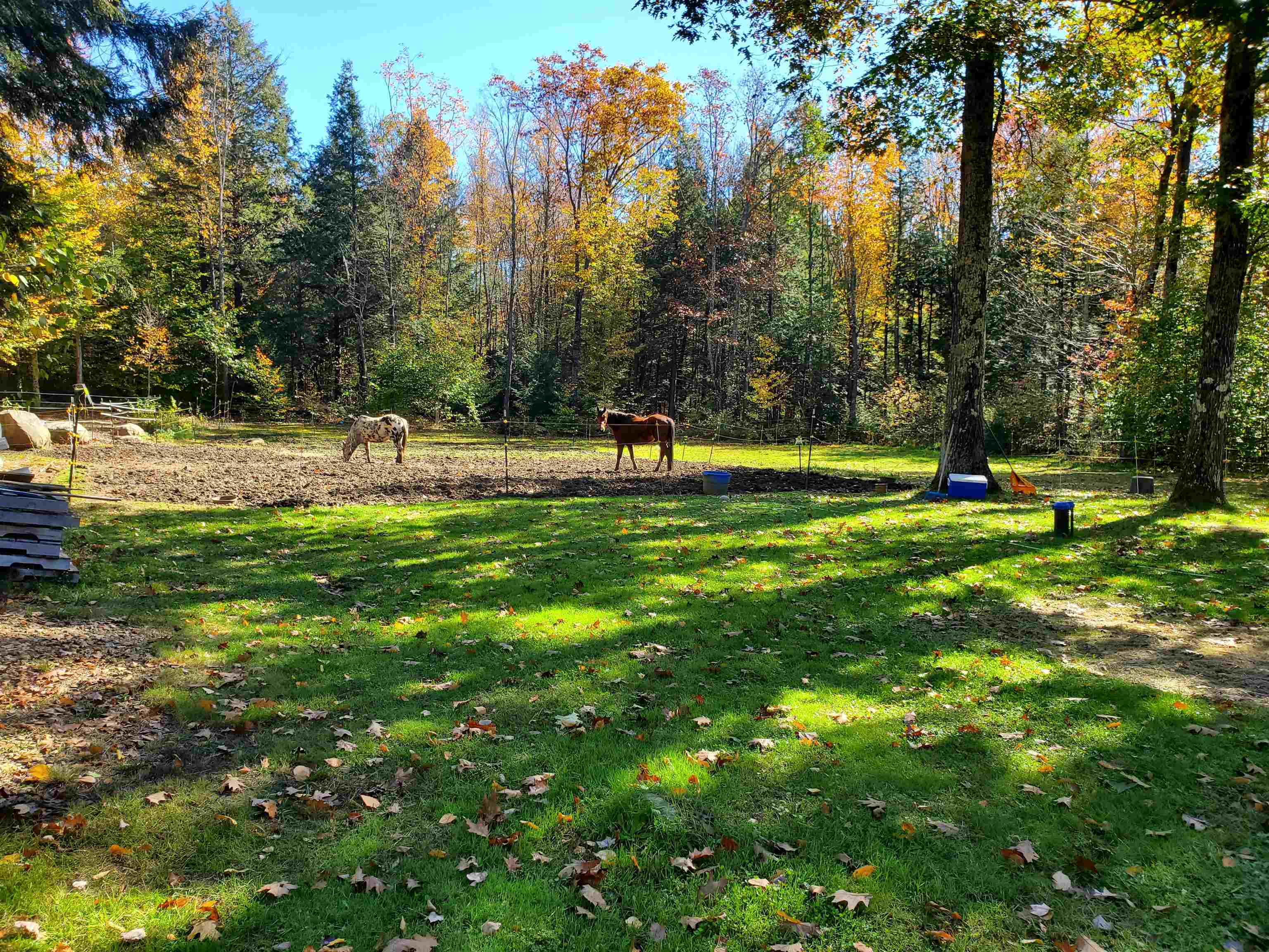 Property Photo:  80 Sprague Road  NH 03470 