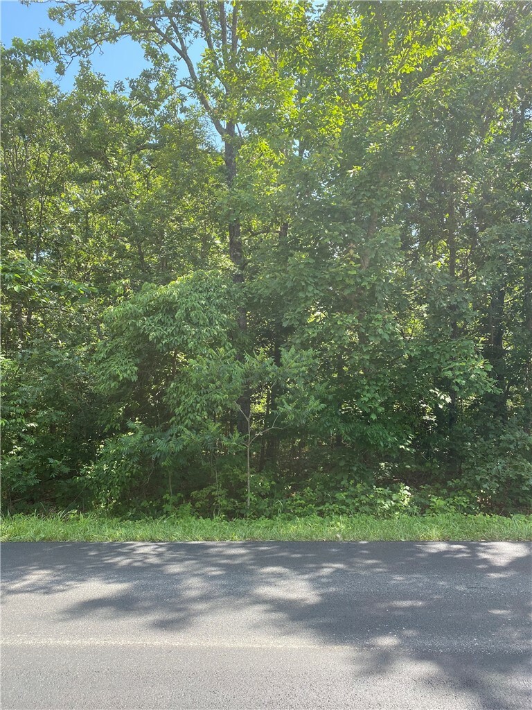 Property Photo:  Lot 20, Block 6 Cargill Circle  AR 72715 