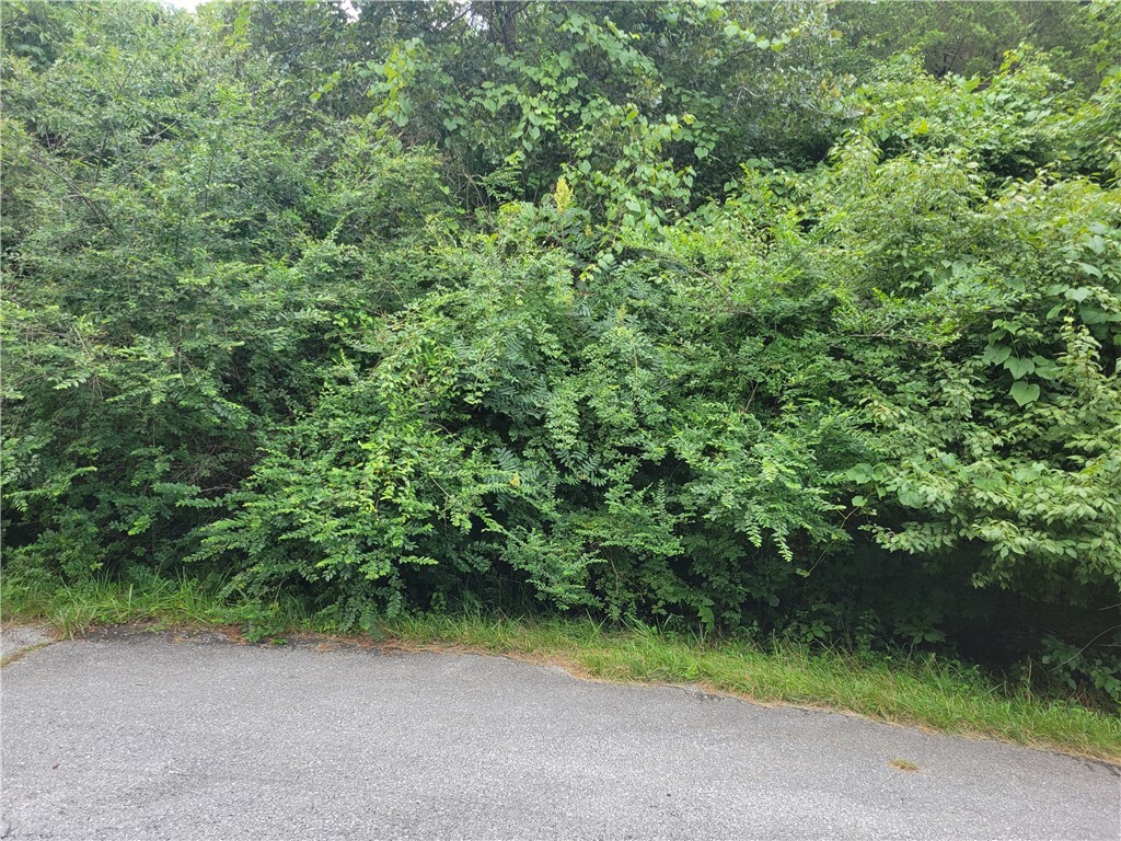 Property Photo:  Lot 6 McGinnis Lane  AR 72715 