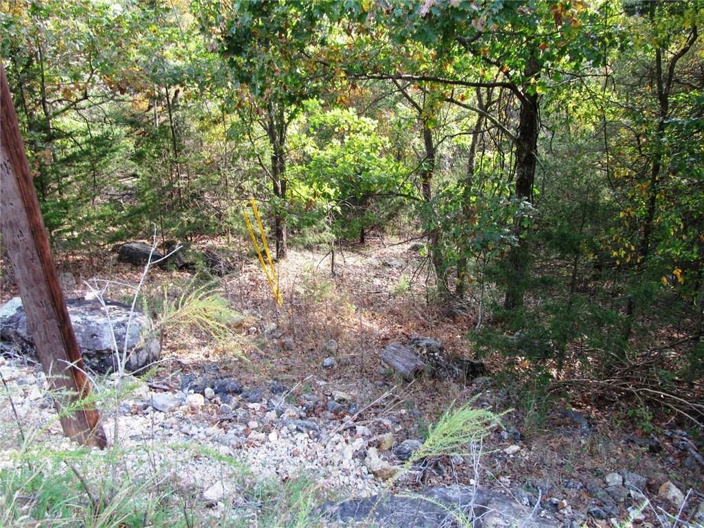 Property Photo:  Lot 3 Maple Drive  AR 72732 