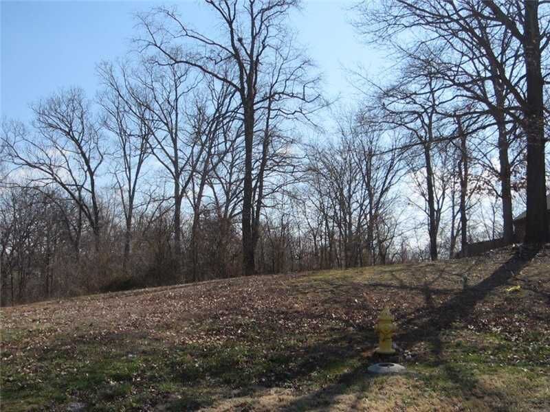 Property Photo: L8 SW Sims Drive AR 72712