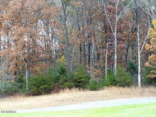 Property Photo:  York Circle  TN 38555 
