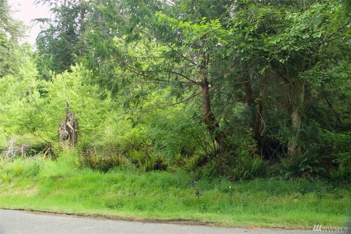 Lot 24 Basswood Rd  Freeland WA 98249 photo