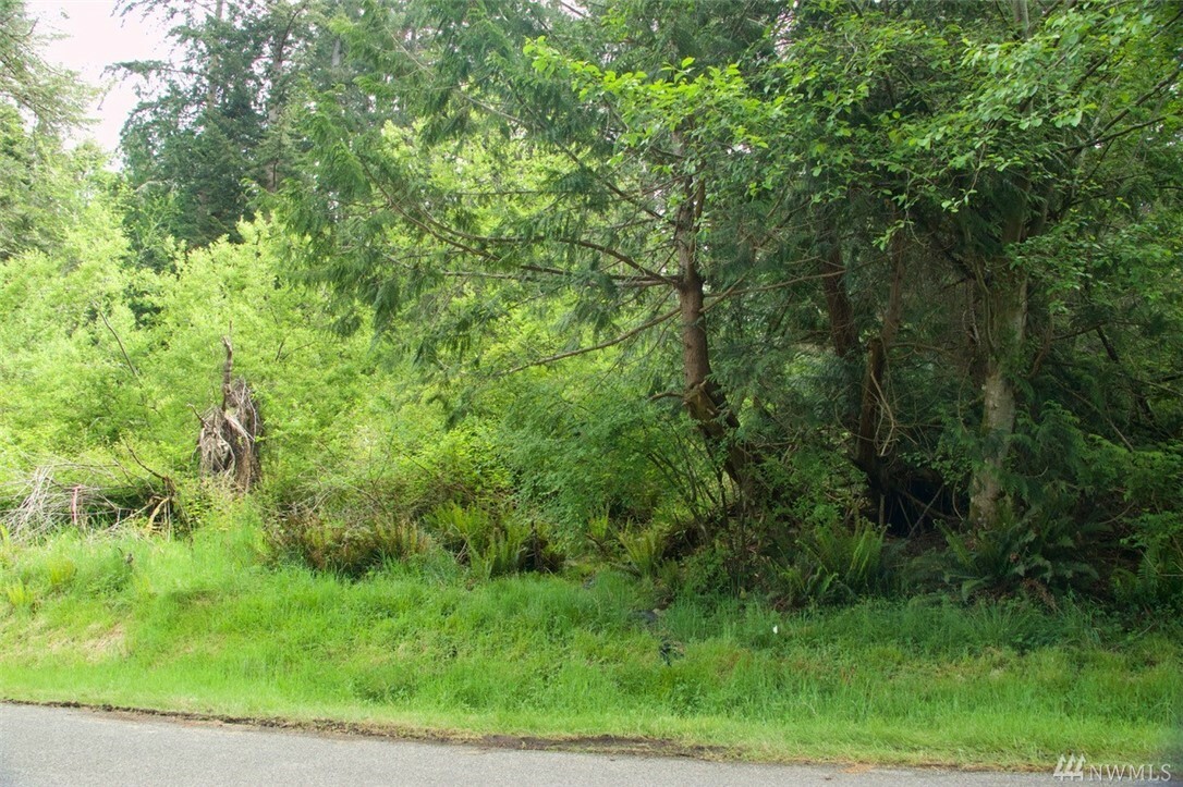 Property Photo:  Lot 24 Basswood Rd  WA 98249 