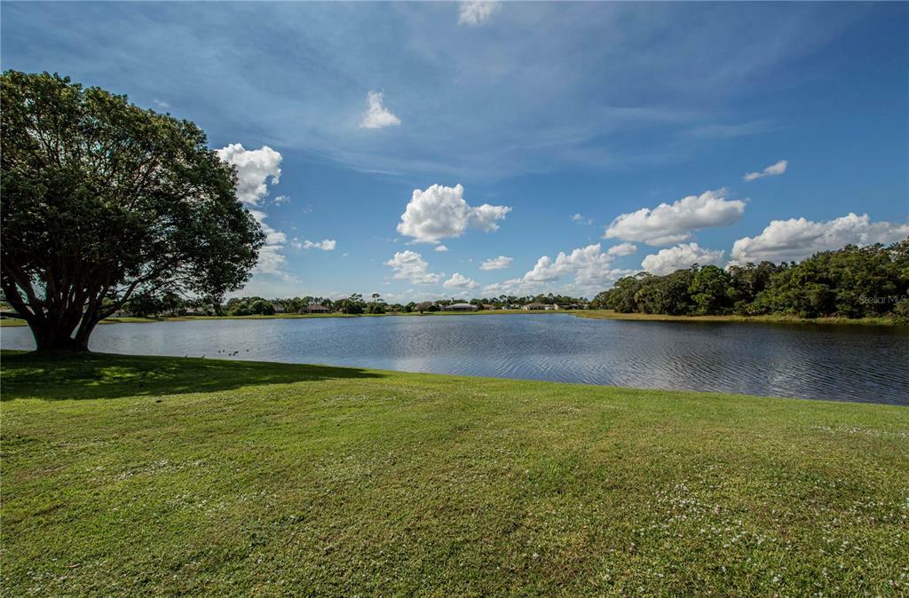 Property Photo:  1397 Razorbill Lane  FL 33983 