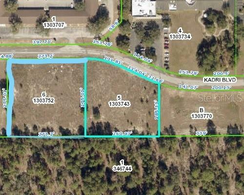 12160 Kadri Boulevard  Spring Hill FL 34608 photo