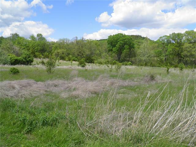 0 Lot 21 At Dry Fork Meadows  Unincorporated MO 63052 photo