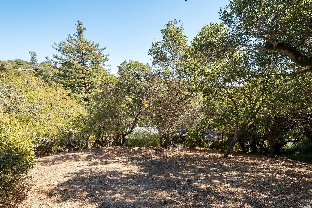 Property Photo: 0 Hillside Ave CA 94941