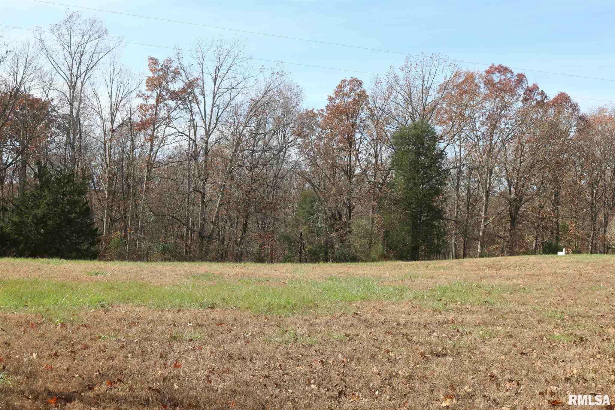 Property Photo: Lot 31 Luxor Landing Lane IL 62939