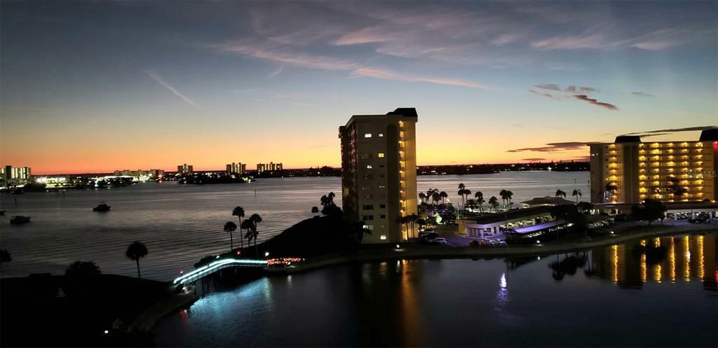 Property Photo: 4575 Cove Circle 807 FL 33708