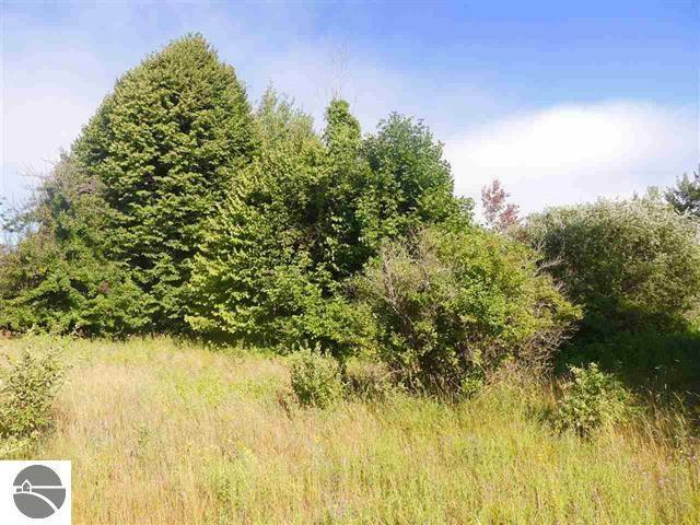 Property Photo: 00 Lot 4 Grace Road MI 48635