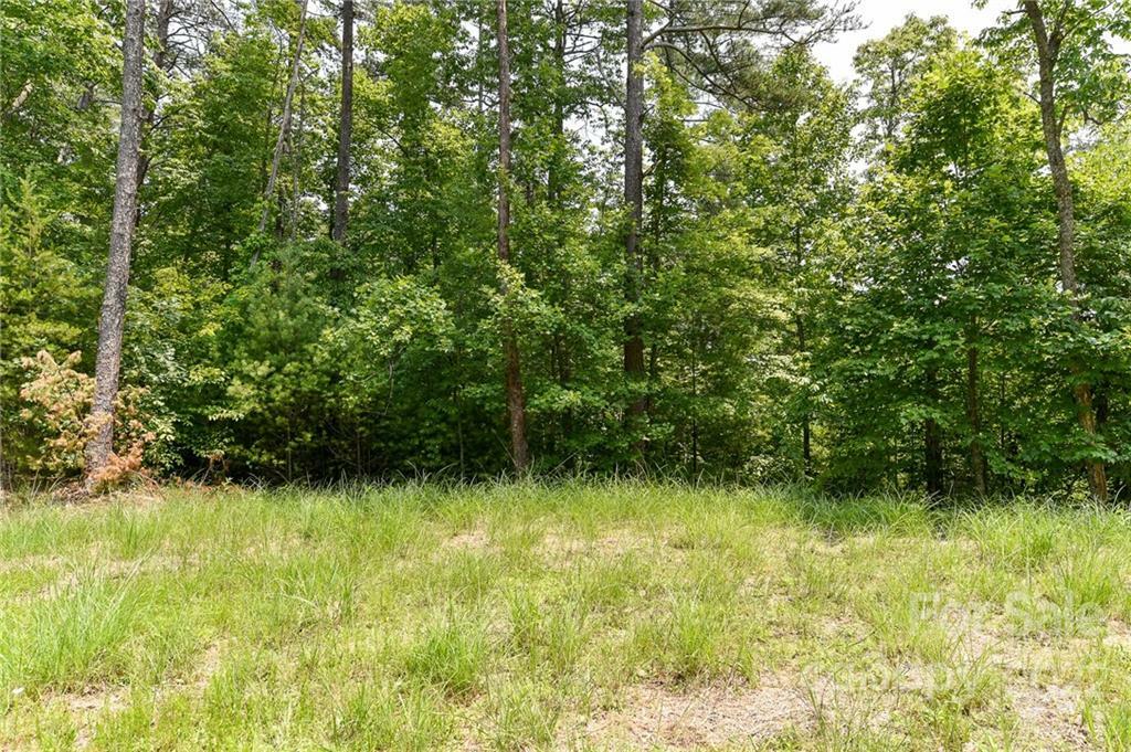 Property Photo:  Lot 4 The Vines Boulevard Lot 4  NC 28753 