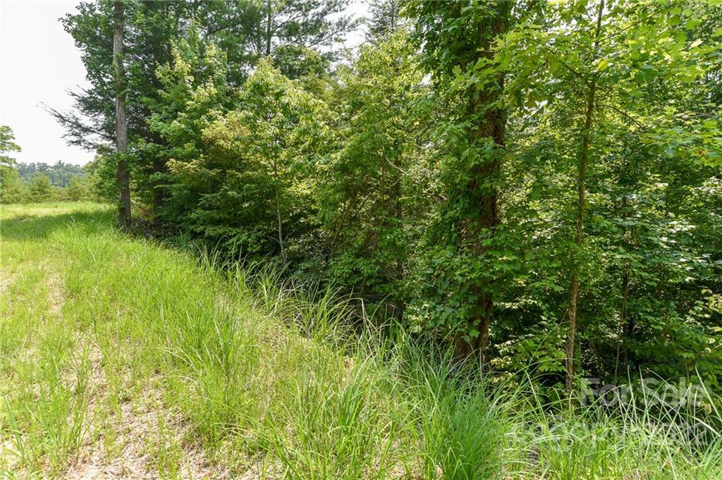 Property Photo:  Lot 12 The Vines Boulevard Lot 12  NC 28753 