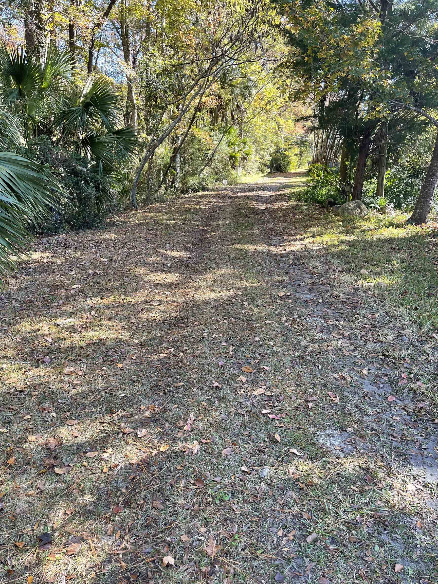 7996 Coastal Highway  Crawfordville FL 32327 photo