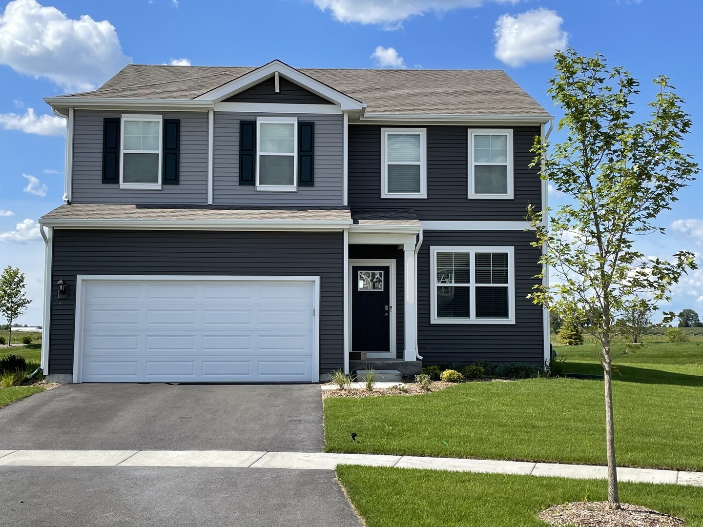 Property Photo: 1653 Emma Lane IL 60140