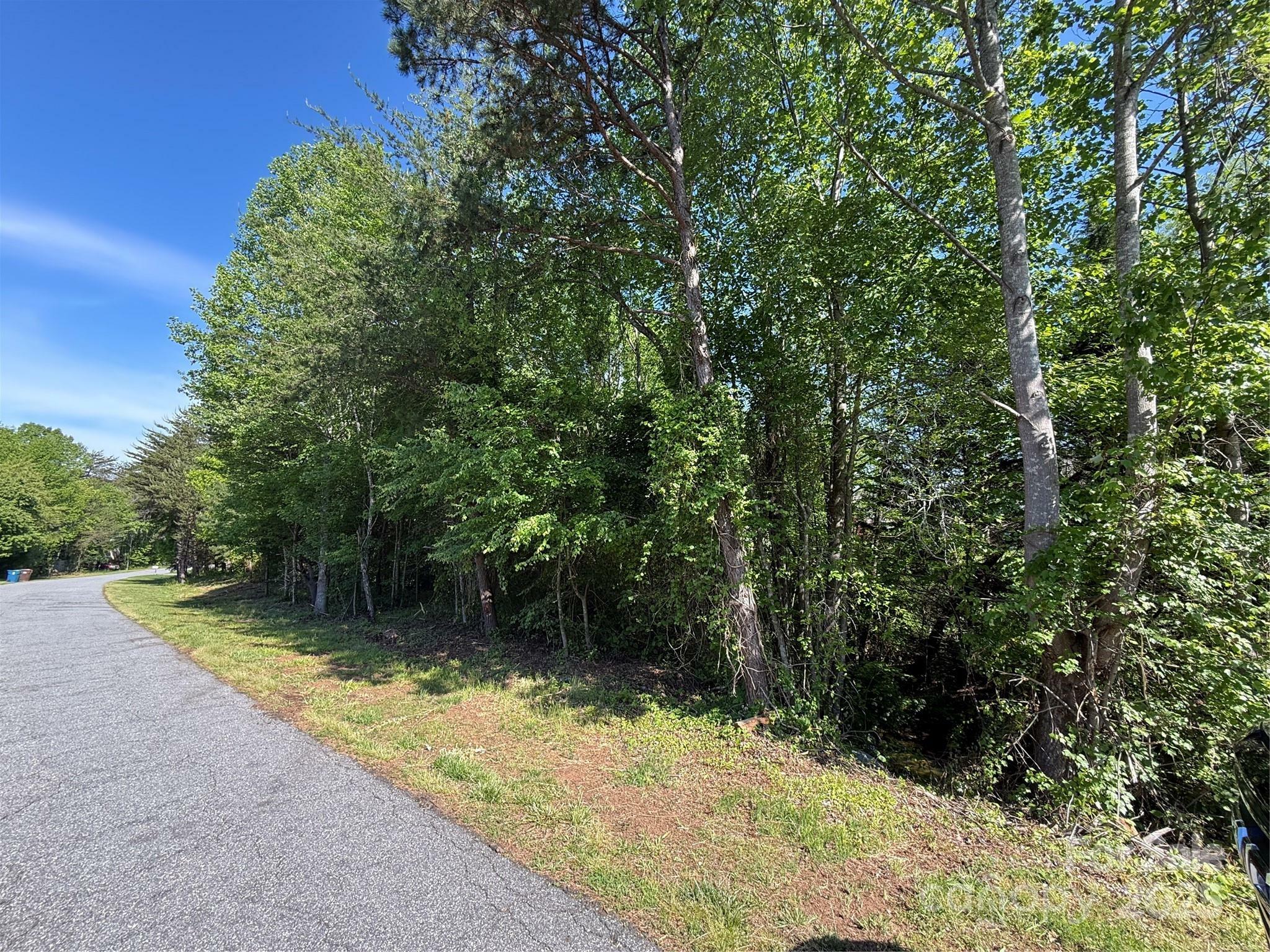 Property Photo: Lot 19 Wittenburg Springs Drive 019 NC 28681