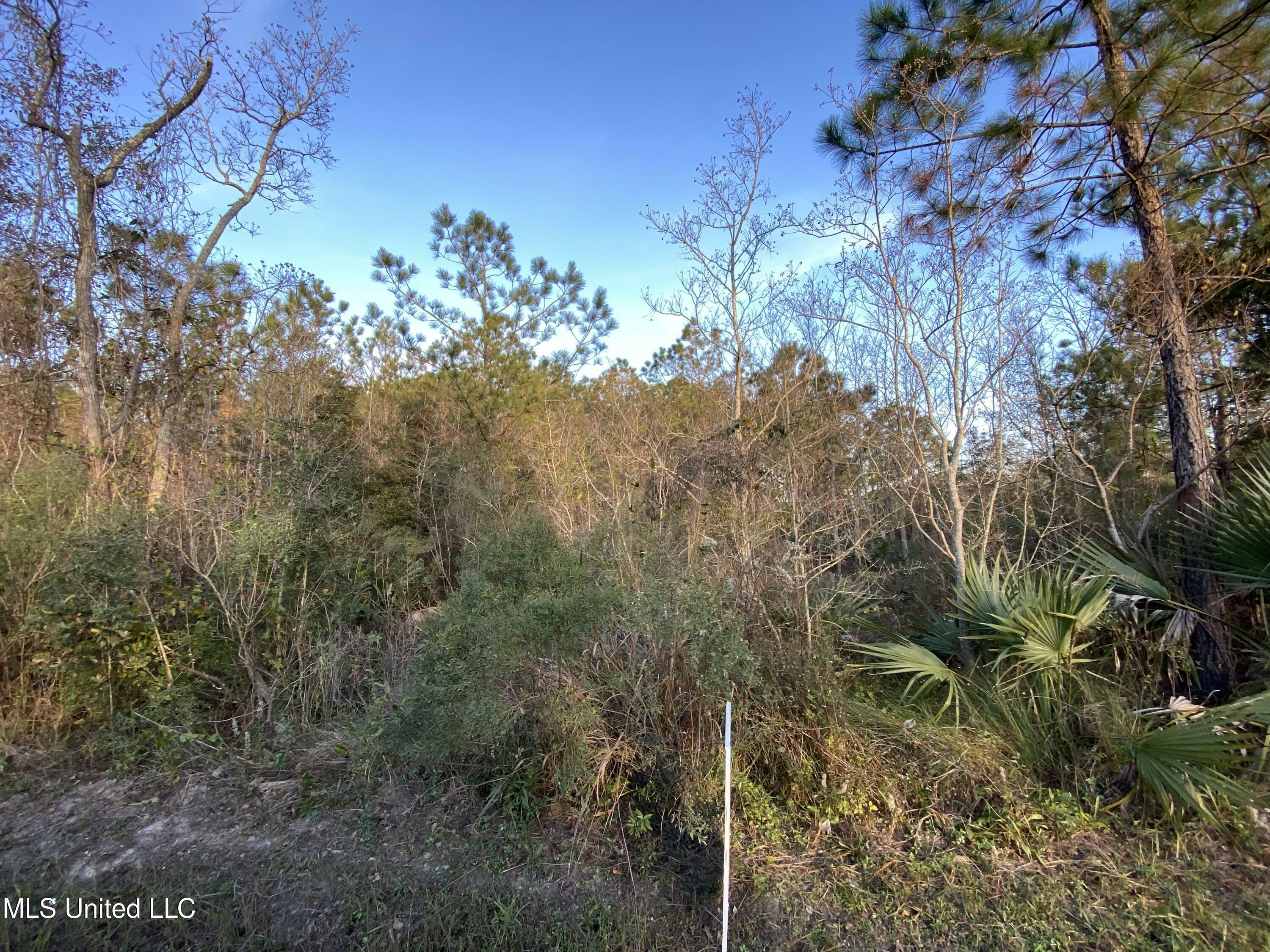 Lot 2 Harding Street  Waveland MS 39576 photo