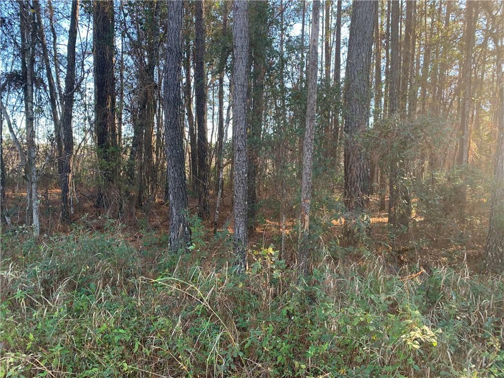 Property Photo:  Tract 2 Tracy Road  FL 32046 