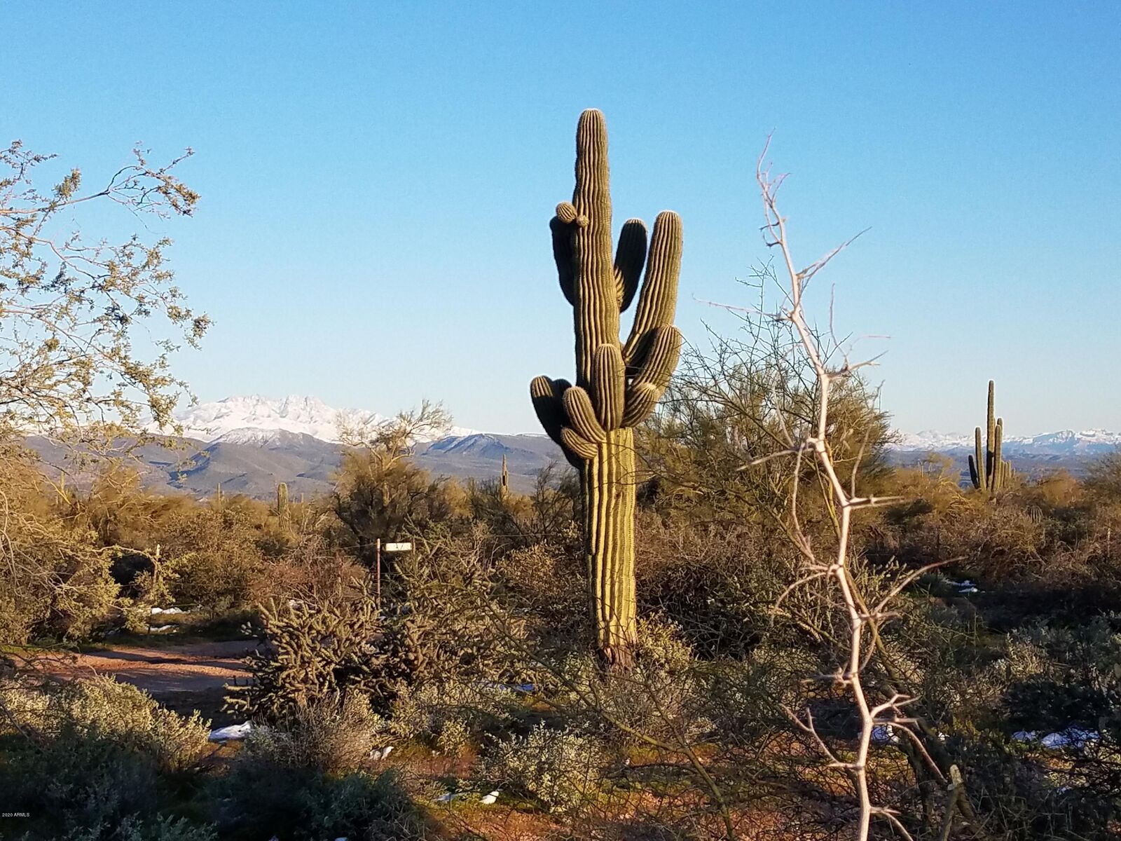 Property Photo: 32xxx N 162nd Street F AZ 85262