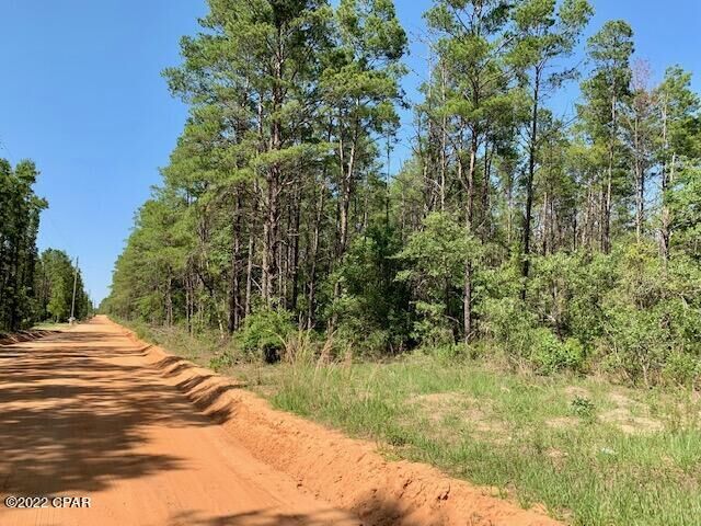 Property Photo: 0 Coyote Trail FL 32428