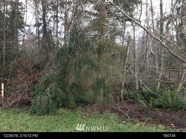 Property Photo: 0 Nhn State Route 525 N WA 98253