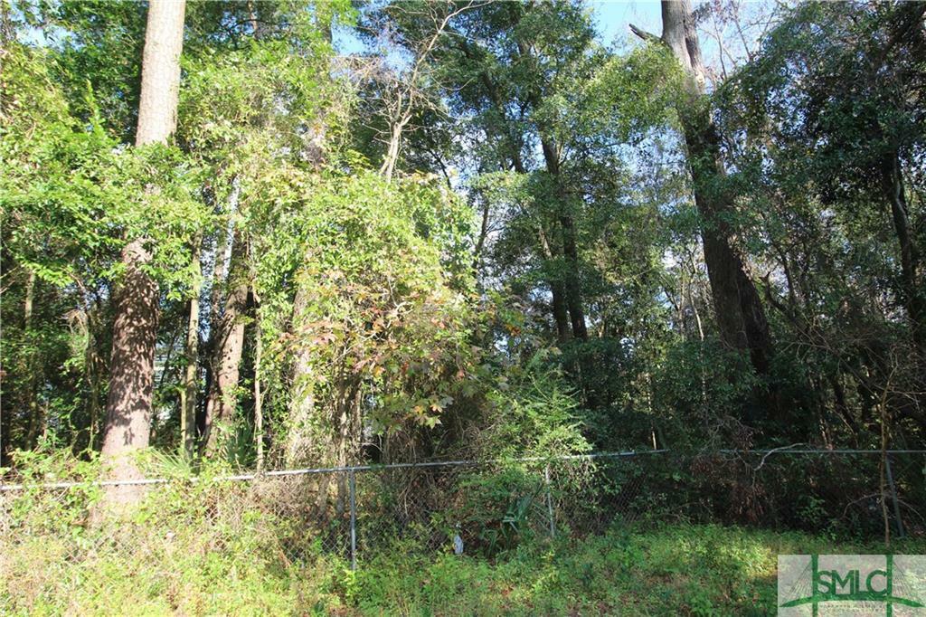 Property Photo:  2209 Colorado Avenue  GA 31404 