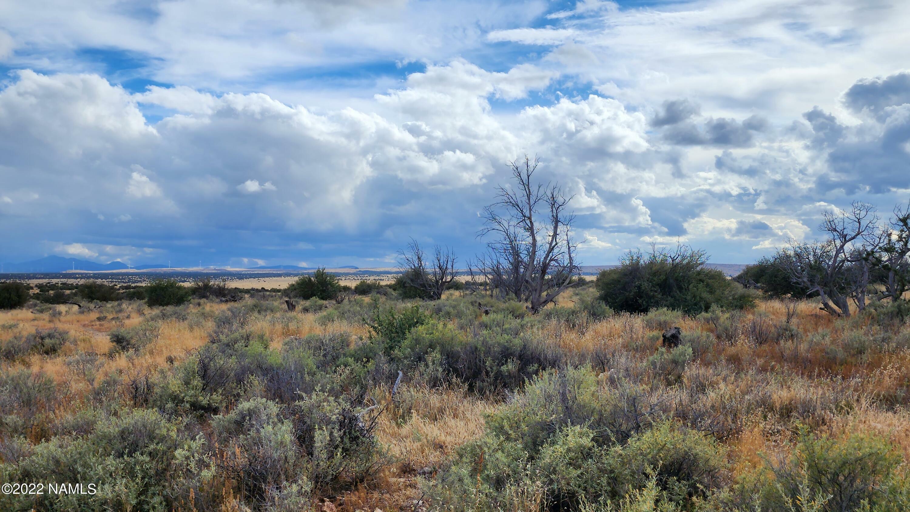 Property Photo:  10756 W Line Cook Trail 1035  AZ 86046 