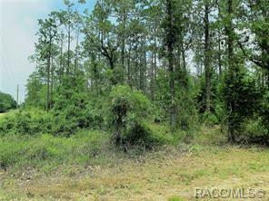 Property Photo:  00 SW Nautilus Boulevard  FL 34431 