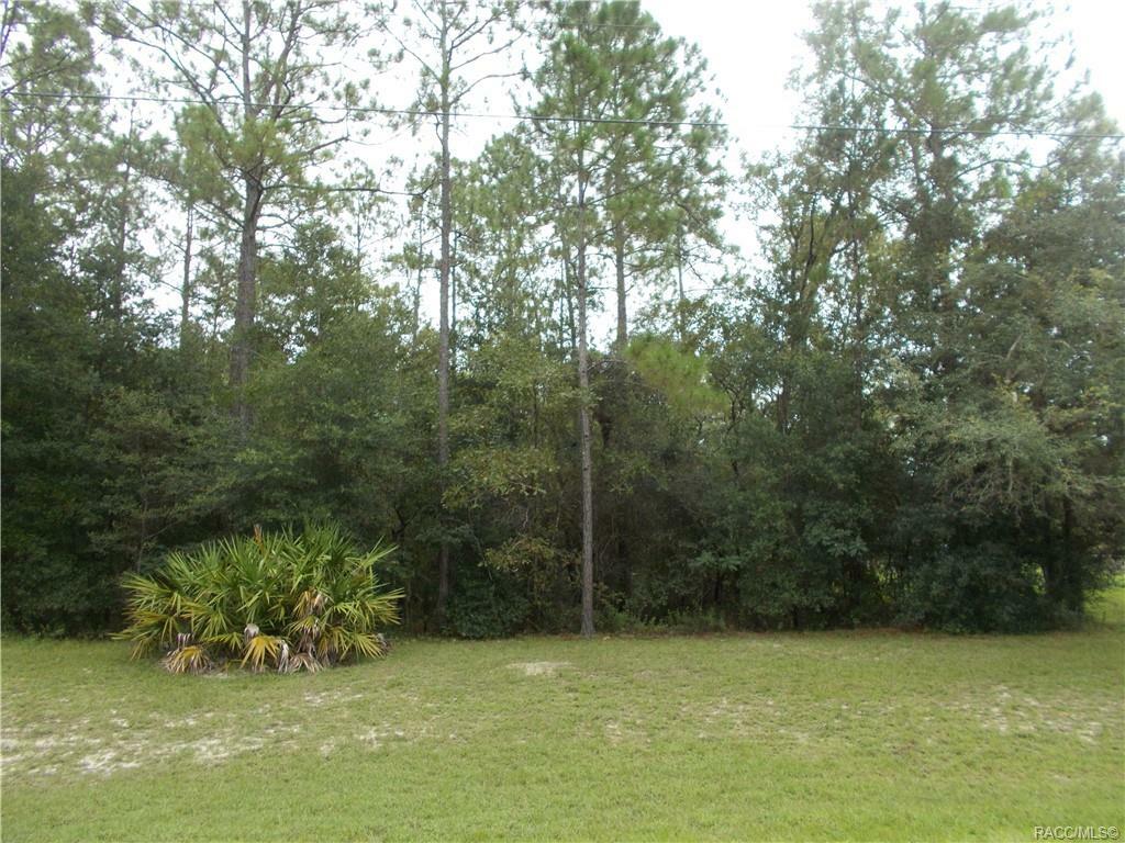 9701 N Langdon Road  Citrus Springs FL 34434 photo