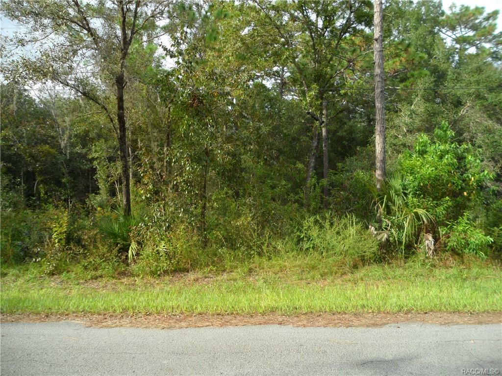 6909 W Grant Street  Homosassa FL 34448 photo