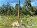 Property Photo:  00 SW Willow Road  FL 34431 