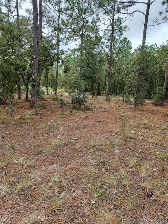 Property Photo:  Lot 37 SW Timberlake Road  FL 34431 