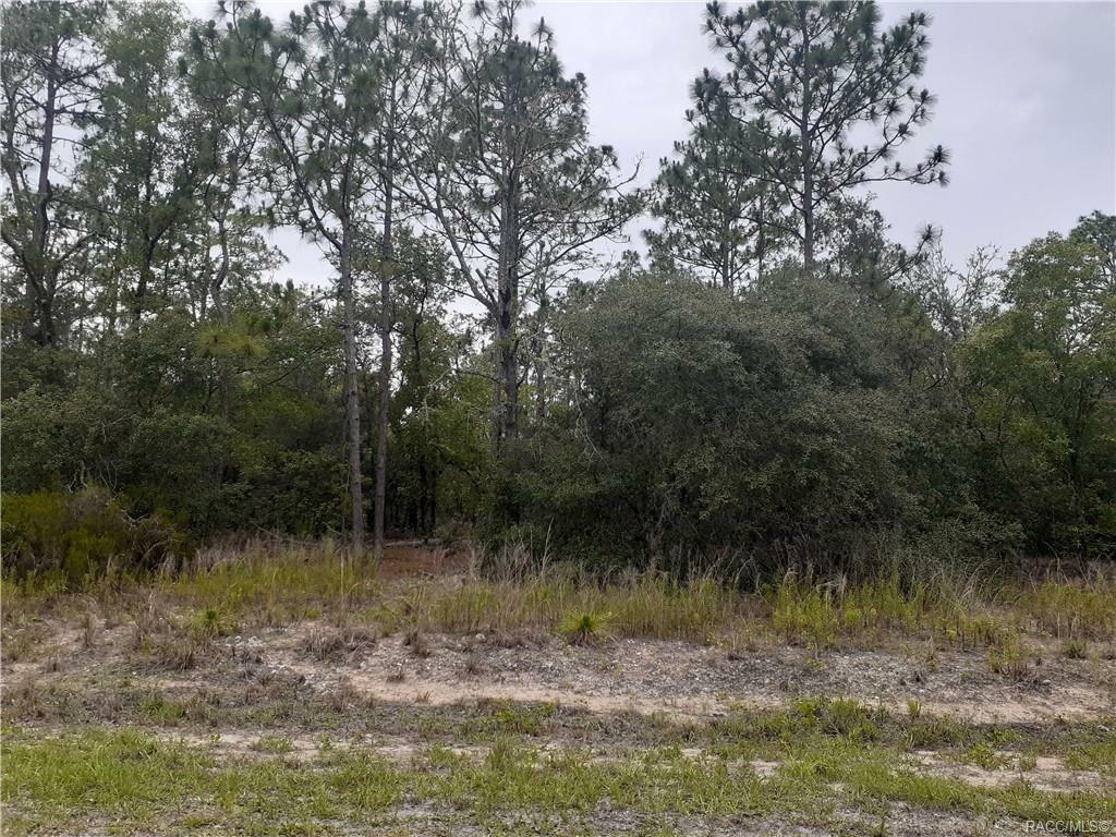 Property Photo:  00 SW Floral Court  FL 34431 