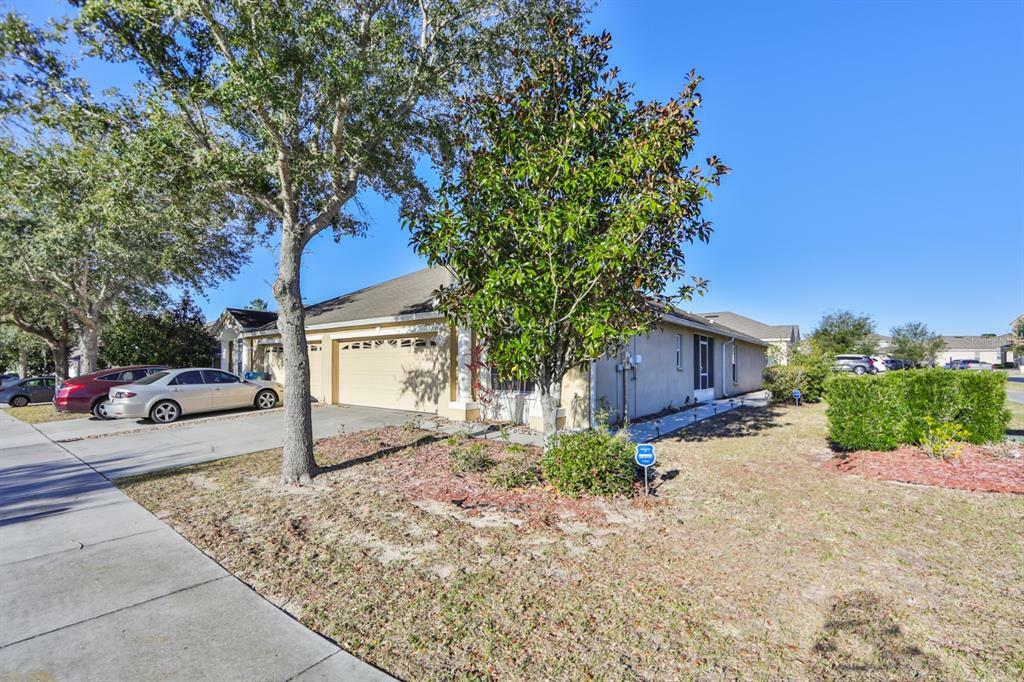 Property Photo:  3915 Crossline Drive  FL 34609 