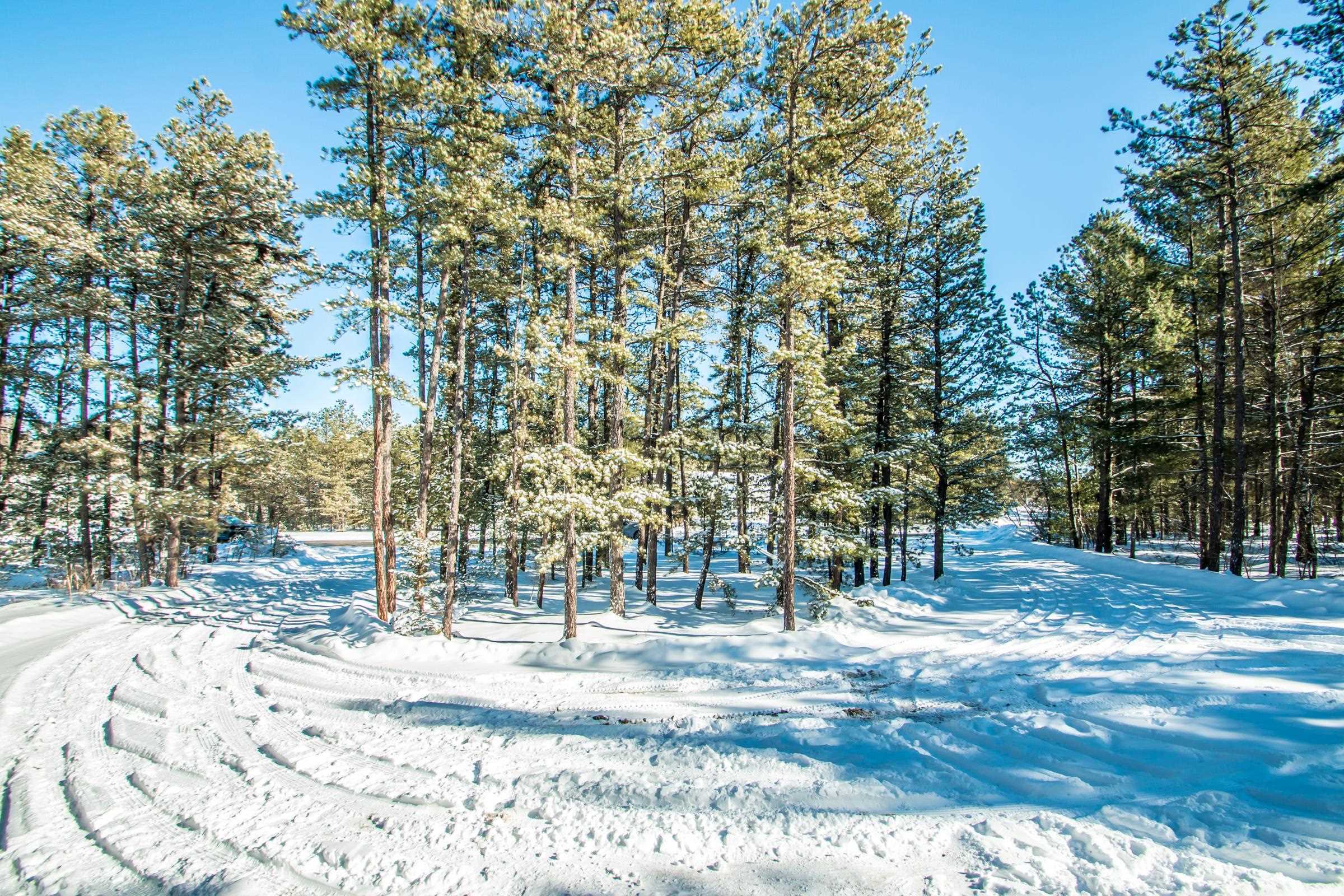 Property Photo:  514 Silver Pine Lane  NH 03886 