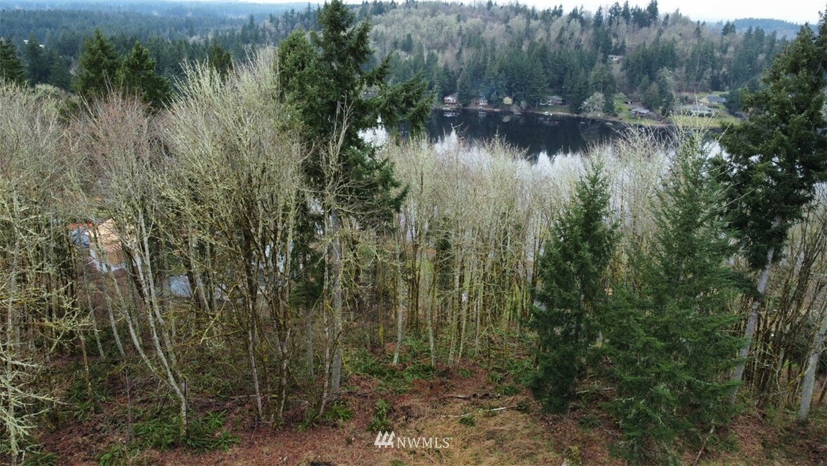 Property Photo:  0 Tempo Lake Drive SE  WA 98513 