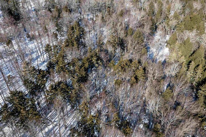 Property Photo:  0 Terrafay Road Lot #6  VT 05660 