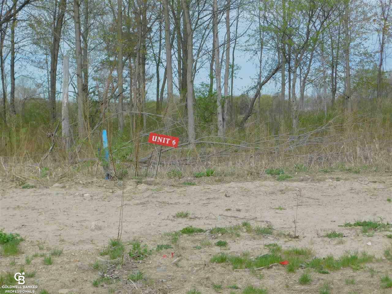 67677 Ashley Avenue  Richmond MI 48062 photo